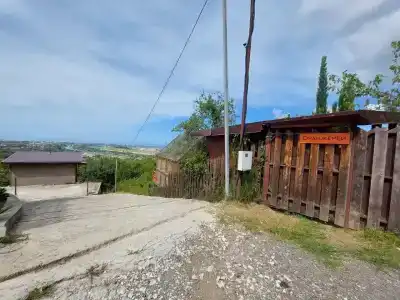 Оранжереи - 2