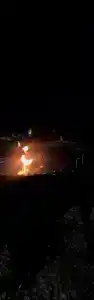 Птица в гнезде - 18
