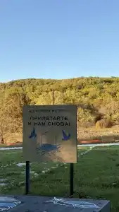 Птица в гнезде - 12
