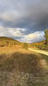 Птица в гнезде - 13