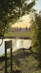 Птица в гнезде - 15
