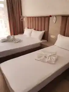 Зиридис Фемили - 4