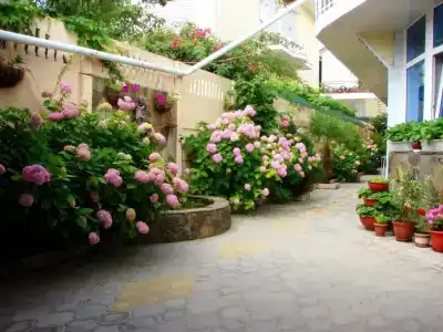 Единство - 1