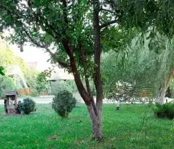 Запорожская Сечь - 10