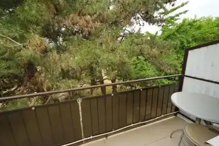 Жемчужина - 23