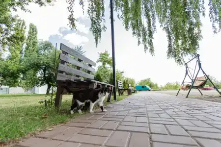 Кузнечик - 42
