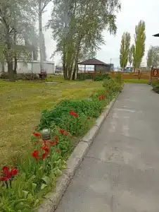 Топаз - 12