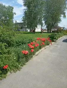 Топаз - 24