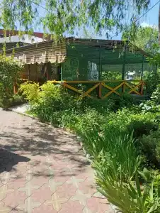Топаз - 54