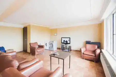 Барса - 3