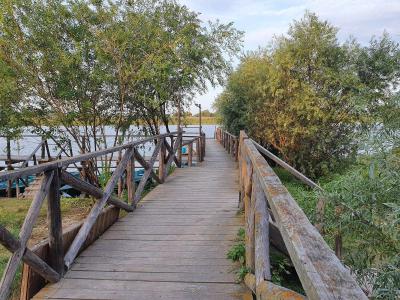 Астрахань рыба. Олигри фиш. Олигри фиш. Олигри фиш. Олигри фиш.