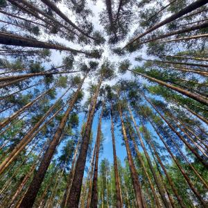 Веселая Деревня - 9