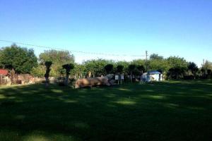 База отдыха «Солнышко»