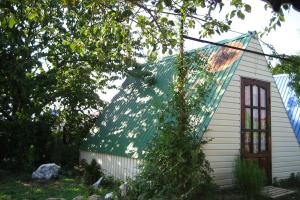 Оранжевое лето