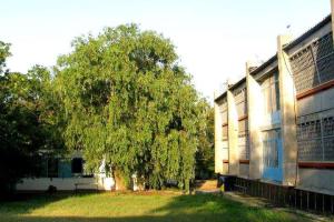 Эльтиген Резорт