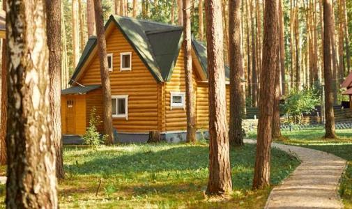 Зеленый Бор - 0