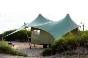 Зелёный Лис