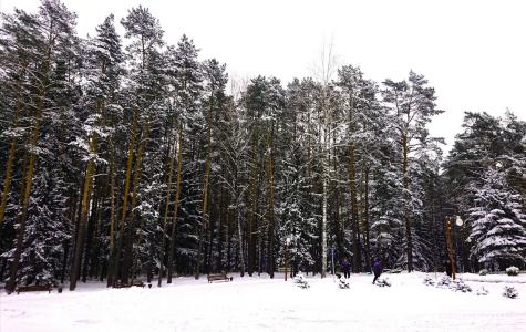 Спортивно-оздоровительный центр Рудея - 1