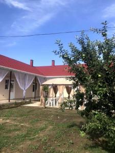 Тихая гавань - 9