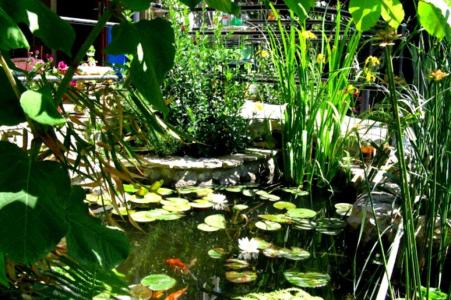 Гостевой дом у подножия Генуэзской крепости - 2