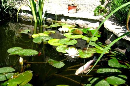 Гостевой дом у подножия Генуэзской крепости - 4