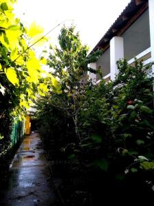 Солнечный - 1