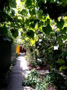 Солнечный - 2