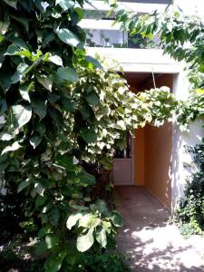 Солнечный - 3