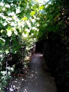 Солнечный - 4