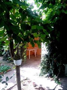 Солнечный - 5