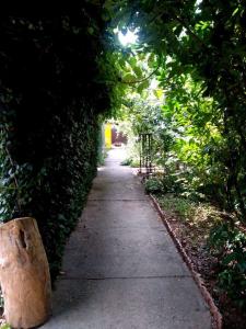 Солнечный - 6