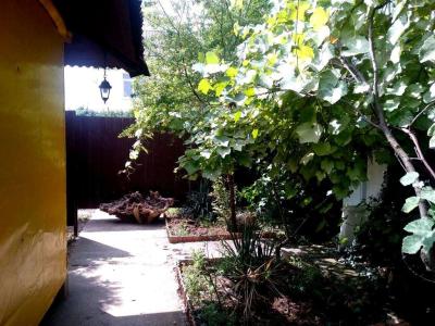 Солнечный - 7