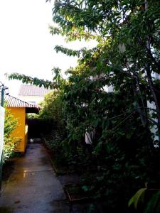 Солнечный - 8