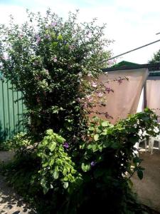 Солнечный - 9