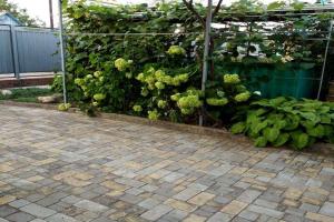 Гостевой дом «Мира, 7»