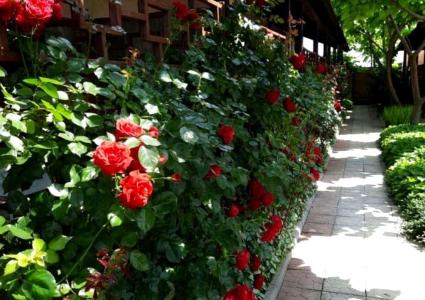 Гостевой дом на Авиаторов 87 - 1