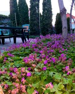 Гостевой дом на Авиаторов 87 - 4