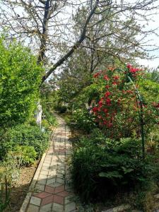 Гостевой дом на Мира - 2