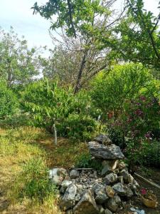 Гостевой дом на Мира - 5