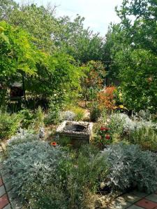 Гостевой дом на Мира - 7