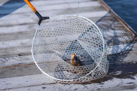 Акварель - 32