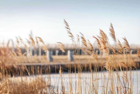 Акварель - 34