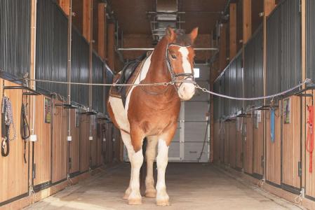 Акварель - 36