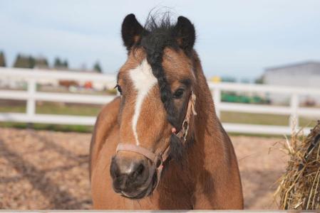 Акварель - 37