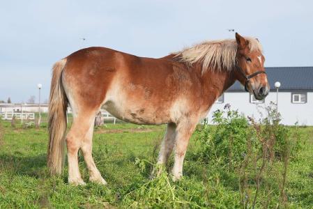 Акварель - 38