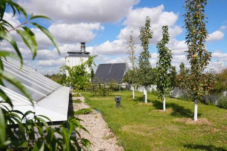 Акварель - 41