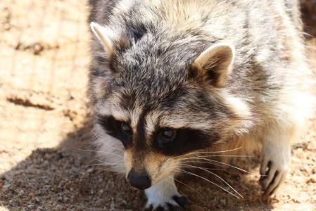 Акварель - 75