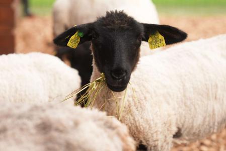 Акварель - 76