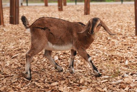 Акварель - 77