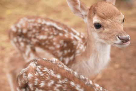 Акварель - 78